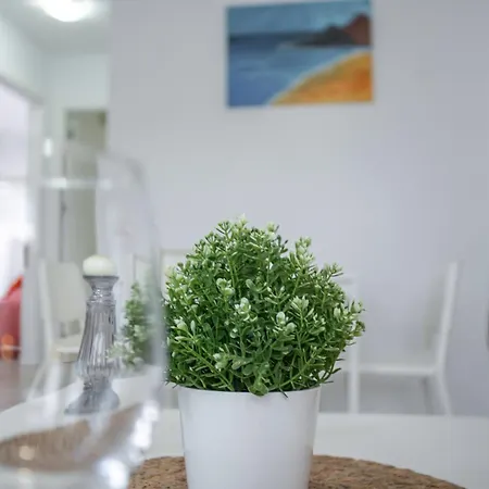 Vv Brisamar Apartment Telde